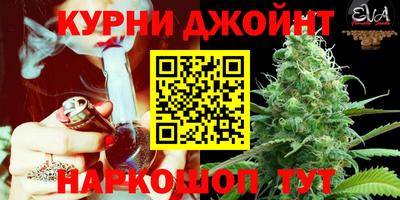 мяу мяу мука Кунгур