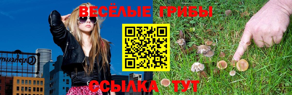 Псилоцибиновые грибы MAGIC MUSHROOMS  Вход с VPN  Ишимбай 